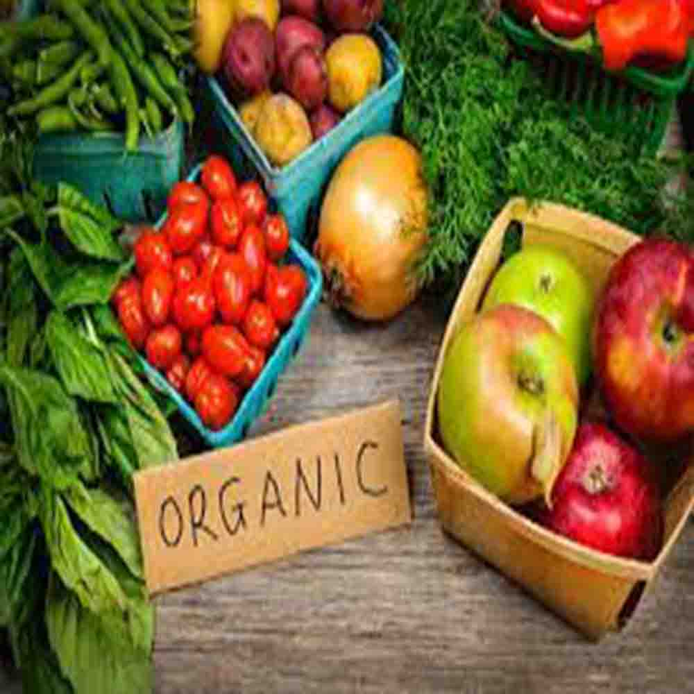 Organic Health & Food Chain